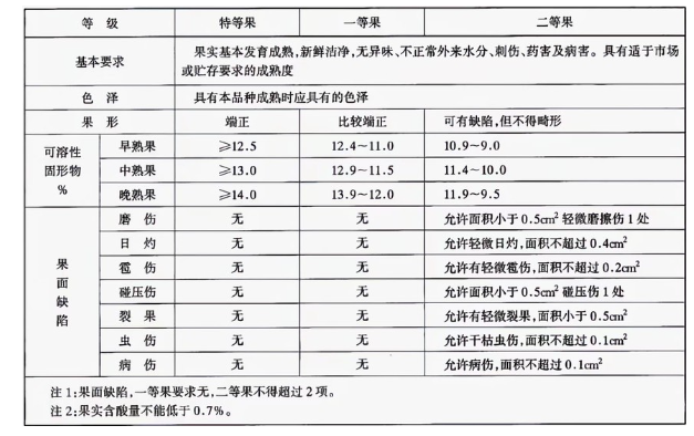 李子冷庫建造完成后如何用于儲存的？這些你都知道嗎