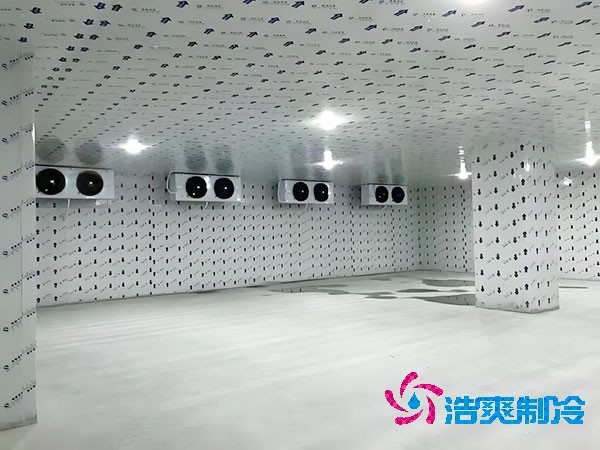 上海地區(qū)建造一個(gè)小型冷庫(kù)造價(jià)大概多少錢(qián)？-浩爽制冷