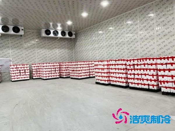 千噸級(jí)食品冷庫(kù)造價(jià)預(yù)算