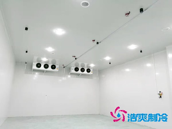 冷庫(kù)造價(jià)揭秘：300平方米到底要花多少錢？-浩爽制冷