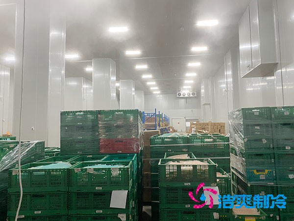 夏季蔬菜保鮮難？500噸冷庫建造價(jià)格揭秘！