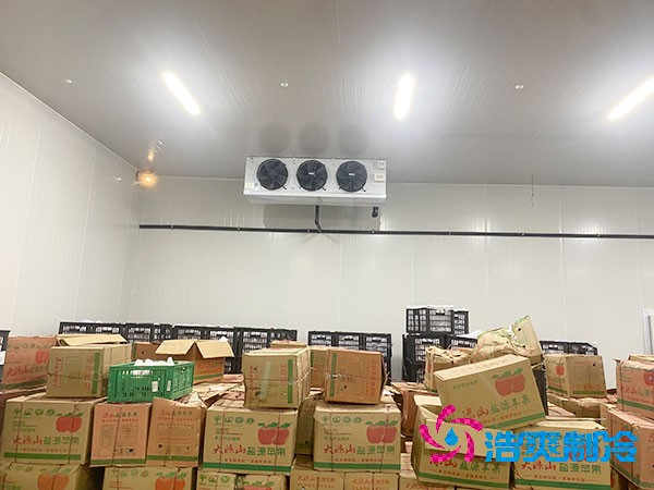水果保鮮冷庫造價每平米多少錢？-浩爽制冷